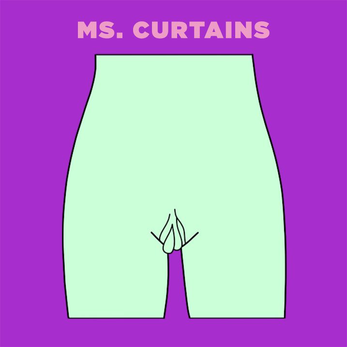 Ms-Curtains-vagina-illustration