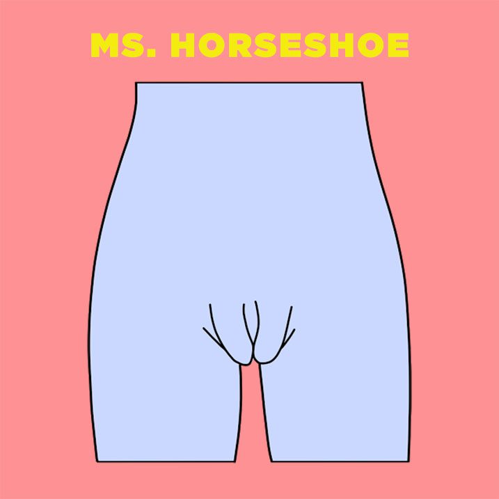 Ms-Horseshoe-vagina-illustration